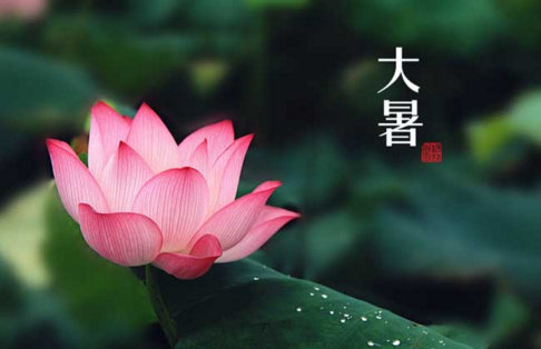 暑期30天快速复色计划 3大名医多学科医联合会诊